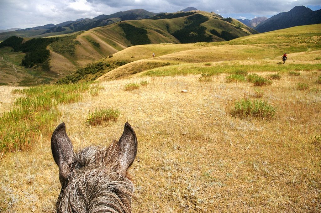 Kirgistan konie