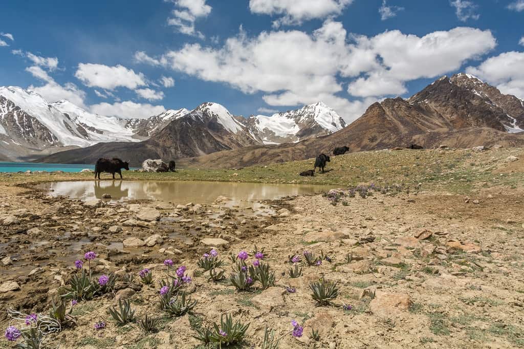 Tadżykistan-trekking-14
