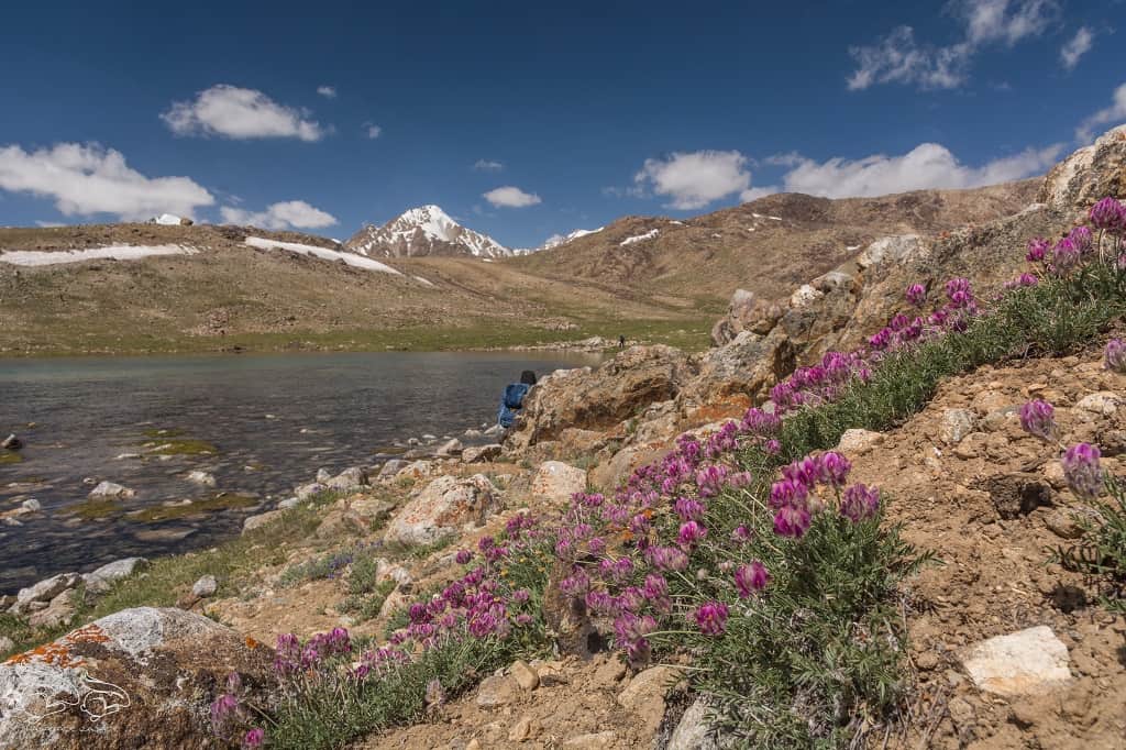 Tadżykistan-trekking-4-2