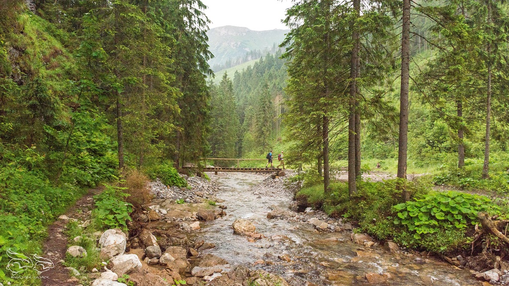 szlak w Tatrach Bielskich