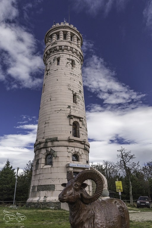 Wieża Wielka Sowa