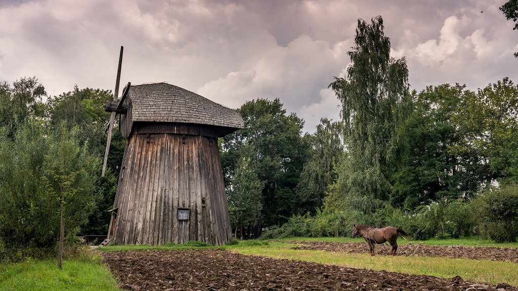 wiatrak w muzeum wsi lubelskiej