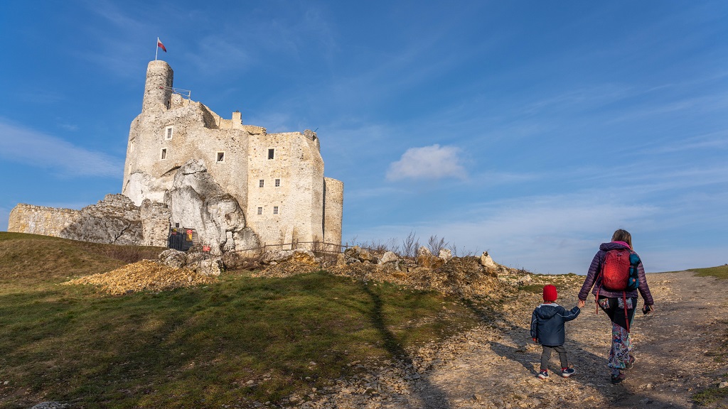 ruiny zamku w Mirowie