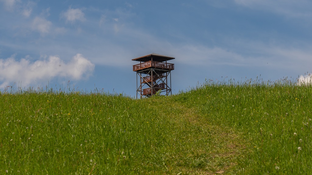 wieża widokowa w Beskidzie Niskim