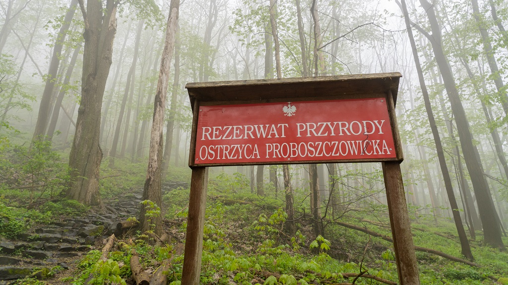 rezerwat przyrody Ostrzyca Proboszczowicka